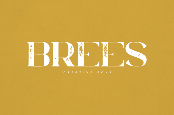 Brees: A Refined Display Font for Editorial Design