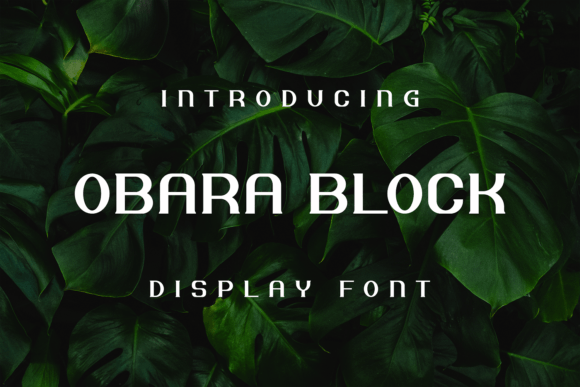 Bringing Products to Life with the Obara Block Font