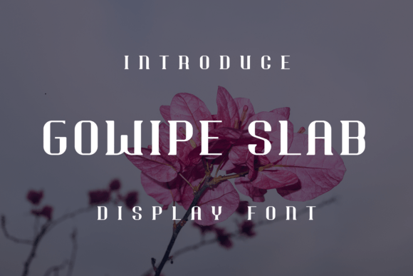 Gowipe Slab: A Display Font Built for Modern Marketing