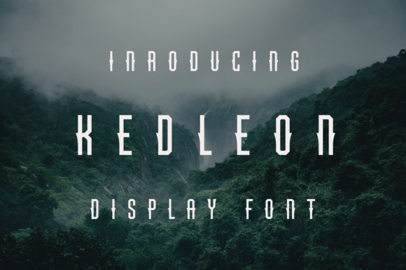 Kedleon: A Sharp, Elegant Voice for Visual Branding