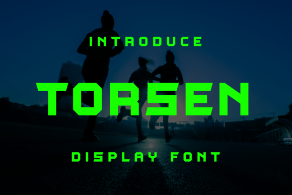 Testing Torsen in a Real Website Layout