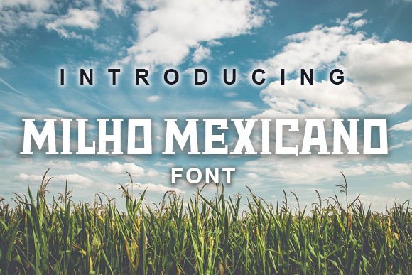 Using Milho Mexicano: A Font for Clearer Campaign Messages